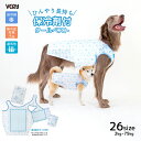 犬 クールベスト 保冷剤 長持ち 熱中症対策 ベスト服 夏 やわらか保冷剤 メッシュ生地 犬服 VERY ワンクールベスト 紫外線カット ひんやり VERY-PET 小型犬 胴長 ダックス 中型犬 大型犬 超大型犬 サイズリニューアル 面テープ マリン柄 お出かけ 散歩 暑さ対策 2025SS
