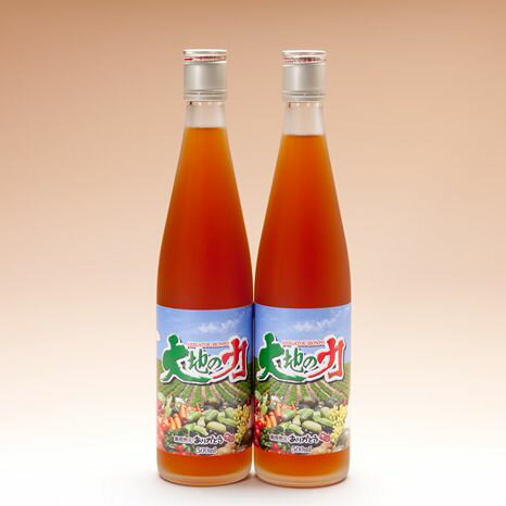 純植物性酵素飲料　大地の力 500ml　2本セット | 宅配便 送料無料