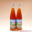 純植物性酵素飲料 大地の力 720ml 2本セット | 宅配便 送料無料