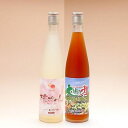純植物性酵素飲料 大地の力+桃ちゃんセット 500ml宅配便 送料無料