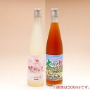 純植物性酵素飲料　大地の力＋桃ちゃんセット 720ml宅配便 送料無料