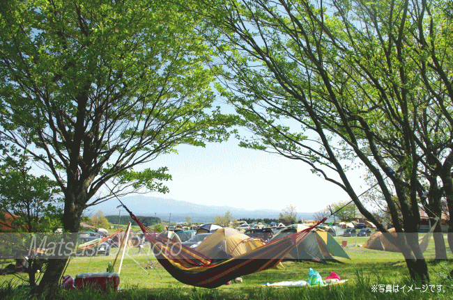 hammock curiace ハンモック スターターセット 全8色 送料無料通販格安セール情報 楽天 通販