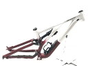 【中古】スペシャライズド SPECIALIZED STUMPJUMPER EVO ALLOY 2023 フレーム SATIN BRUSHED ALUMINUM / MAROON S3(M)サイズ(4)