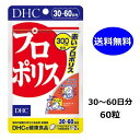 DHC プロポリス 30日分 60粒 アミノ酸 ミネラル ビタミンE 送料無料 その1