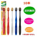 ピエンタ ホテル業務用歯ブラシ 28穴（黒）3gチューブ付 50本 個包装 大量 まとめ買い 業務用 使い捨て 常備品 アメニティ ホテル 温泉 旅館 温浴施設 宿泊施設 来客 国産 防災備蓄 送料無料