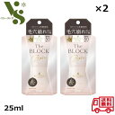 サナ 毛穴パテ職人 毛穴崩れブロック下地 ピンクベージュ 25ml ×2個セット 化粧下地 SANA テカリ 常盤薬品 無香料