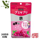 グミサプリ 鉄 20日分 40粒 UHA味覚糖 グレープ味 グミ 鉄 グミサプリ