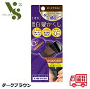 DHC Q10 クイック白髪かくし ダークブラウン 4.5g 瞬間 白髪かくし 白髪染め 生え際 分け目 ヘアカラー リタッチ 58