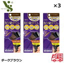 DHC Q10 クイック白髪かくし ダークブラウン 4.5g x3個セット 瞬間 白髪かくし 白髪染め 生え際 分け目 ヘアカラー リタッチ 送料無料