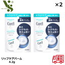 花王 キュレル リップケア バーム 4.2g ×2個セット 潤浸保湿 唇パック処方 セラミドケア 乾燥 敏感肌 保湿 Curel リップバーム リップ 唇 医薬部外品 69