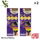 DHC Q10 クイック白髪かくし ライトブラウン 4.5g ×2個セット 瞬間 白髪かくし 白髪染め 毛髪着色料 生え際 分け目 ヘアカラー リタッチ 65
