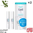 花王 キュレル リップケア クリーム 4.2g x2個セット Curel リップ 乾燥 保湿 セラミドケア 唇 荒れ 低刺激 医薬部外品 89