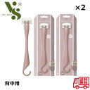 貝印 miness マイネス 背中用カミソリ ×2個セット ロングハンドル (本体+替刃) むだ毛 ムダ毛 処理 背中の毛 背毛 セルフケア 背中用 カミソリ GA0132
