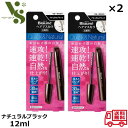 花王 ブローネ ヘアマスカラ ナチュラルブラック 12ml ×2個セット 白髪 白髪隠し マスカラ 白髪用 生え際 カラーリング 一時着色料 99