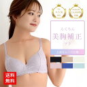 【マラソン期間限定!ポイント10倍!】らくちん美胸補正ブラ ブラジャー 育乳 下着 女性 ブラ 谷間 育成 脇高 脇肉 セクシー 総レース 痛くない 小胸 補正...
