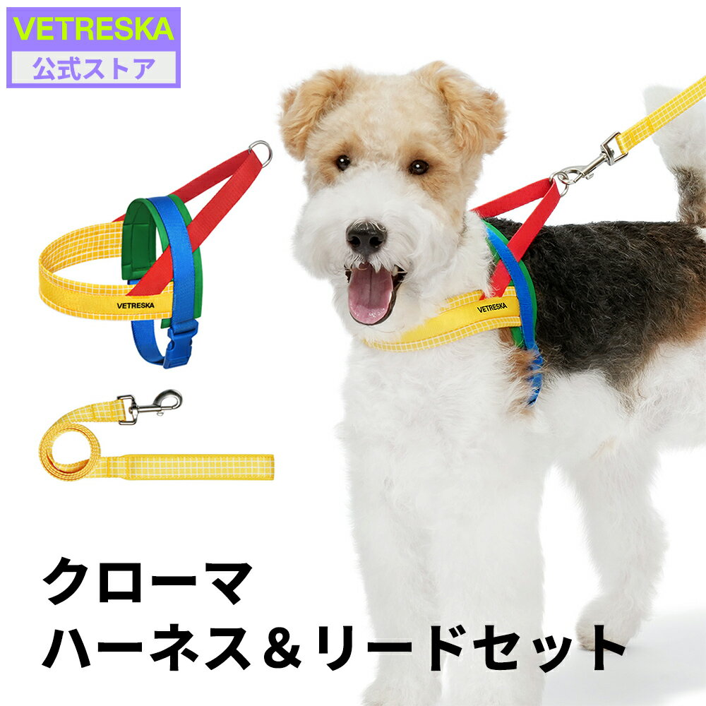 Sサイズ 小型犬 首輪 ハーネス リード 3点セット ペット用品 犬 首輪 ハーネス リード ナイロン デニム製 お散歩用