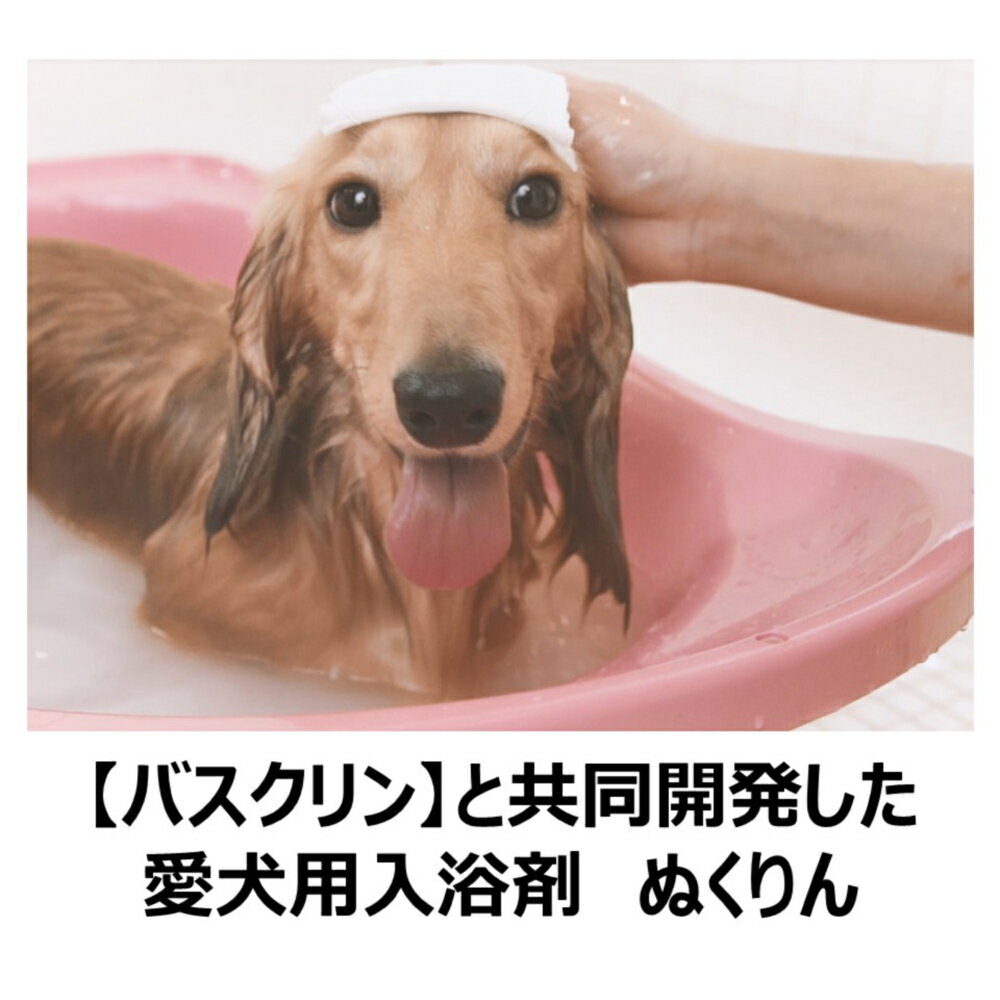 アースペット 愛犬用 炭酸入浴剤ぬくりん 森林の香り【あす楽】 2