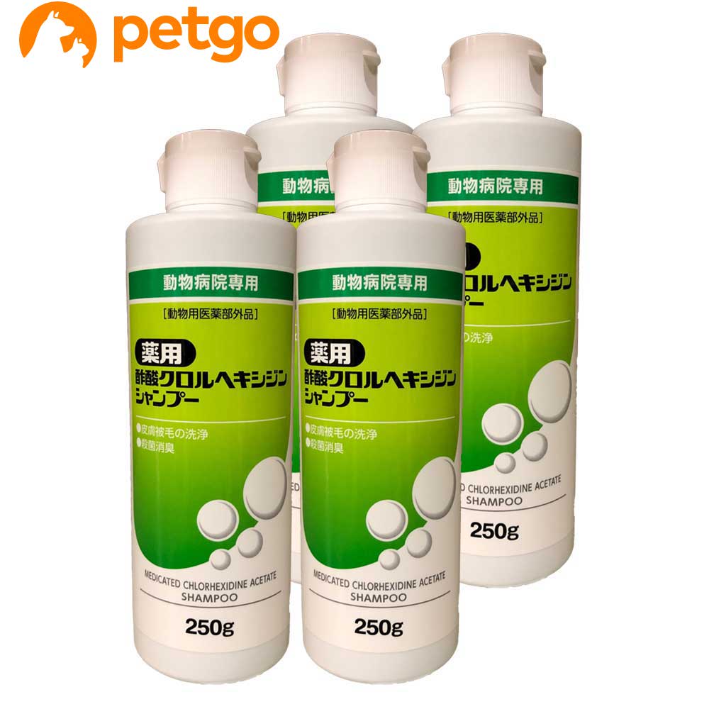 ��4�ܥ��åȡ����ѿݻ�������إ������󥷥��ס� ��ǭ�� 250g��ưʪ�Ѱ��������ʡ�