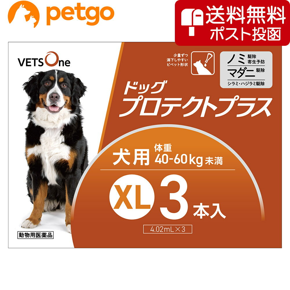 【ネコポス(同梱不可)】ベッツワン ドッグプロテクトプラス 犬用 XL 40kg〜60kg未満 3本 (動物用医薬品)【あす楽】