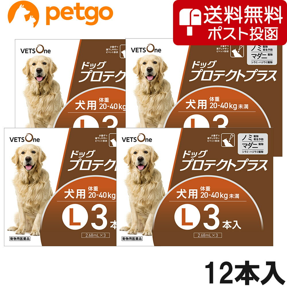 【ネコポス(同梱不可)】【4箱セット】ベッツワン ドッグプロテクトプラス 犬用 L 20kg〜40kg未満 3本 (動物用医薬品)【あす楽】