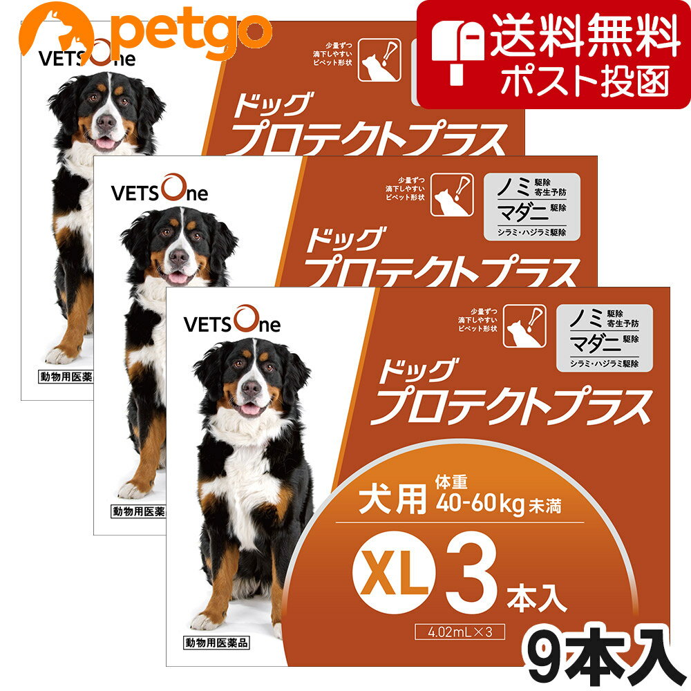 【ネコポス(同梱不可)】【3箱セット】ベッツワン ドッグプロテクトプラス 犬用 XL 40kg〜60kg未満 3本 (動物用医薬品)【あす楽】