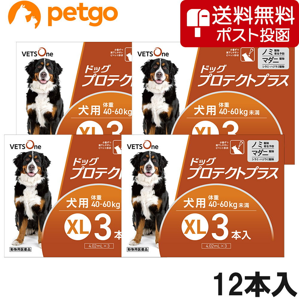 【ネコポス(同梱不可)】【4箱セット】ベッツワン ドッグプロテクトプラス 犬用 XL 40kg～60kg未満 3本 (動物用医薬品)【あす楽】