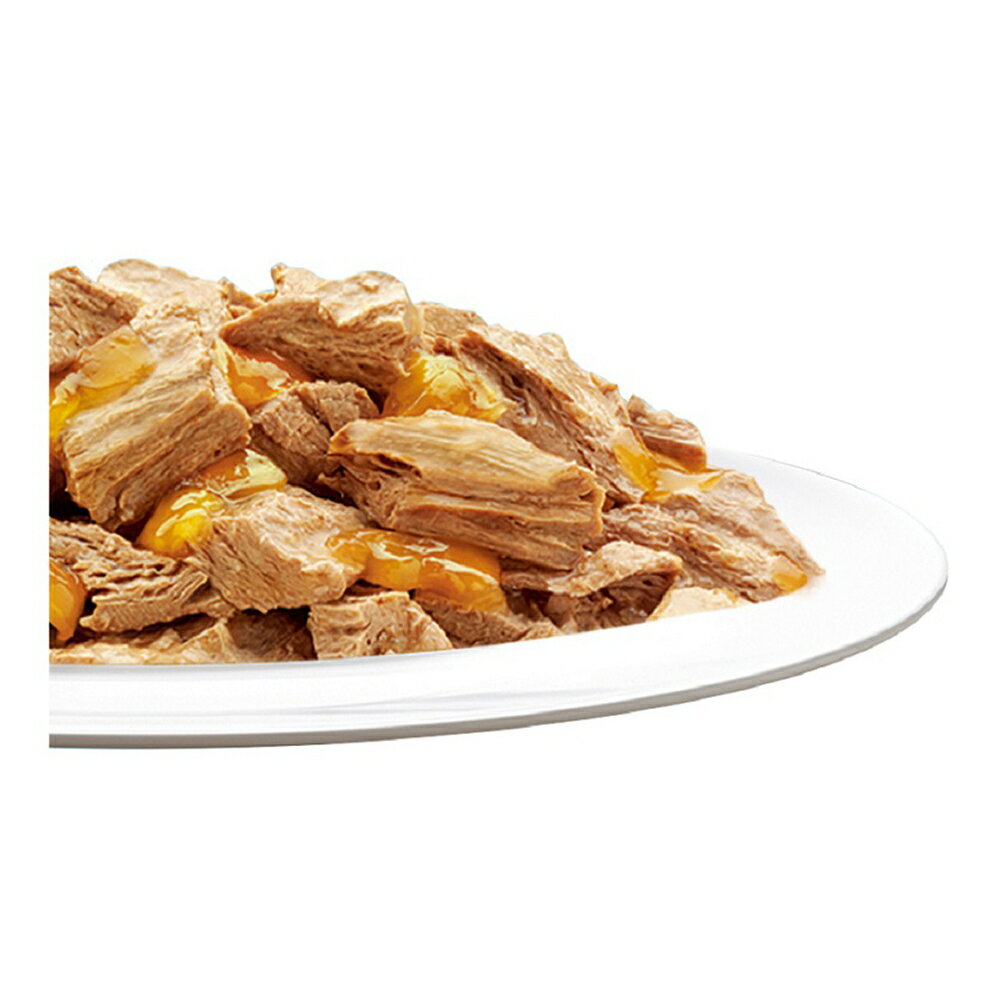 フィリックス やわらかグリル 成猫用 ゼリー仕立て チキン 50g×12袋【まとめ買い】