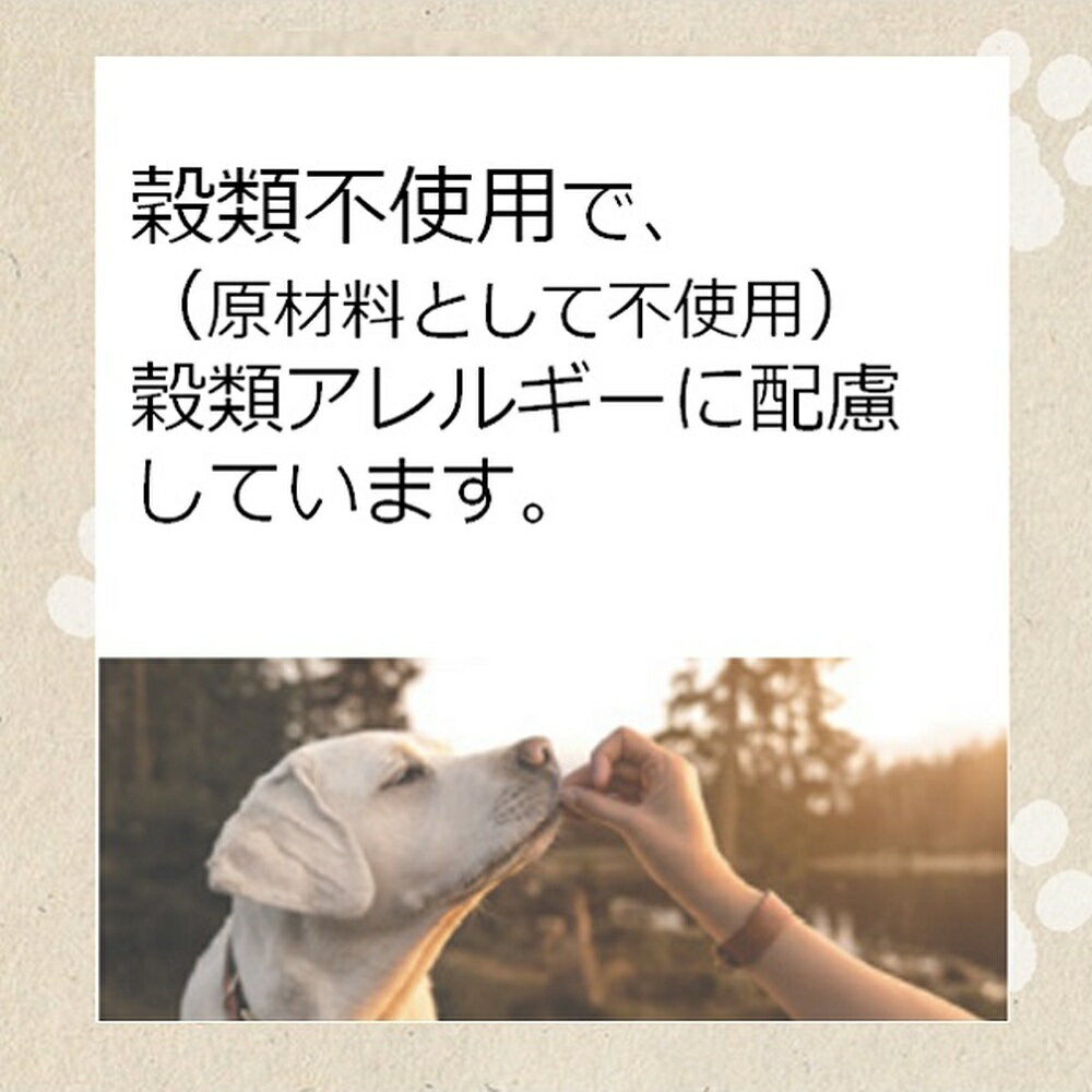 メディコートアドバンス グレインフリー フィッ...の紹介画像3