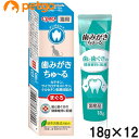 【12個セット】動物病院専用 CIAO(チャオ) 猫用 歯みがきちゅ〜る まぐろ 18g