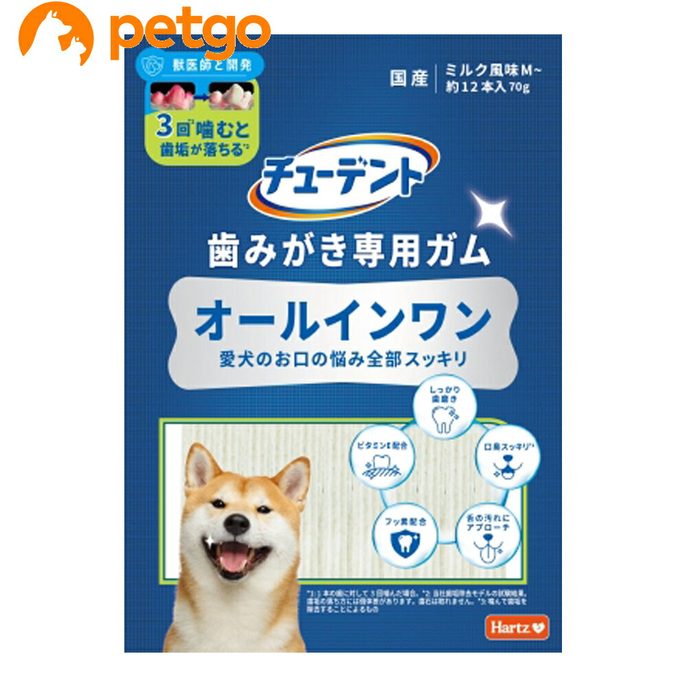 ハーツ チューデント 歯みがき専用ガム オールインワン M 70g
