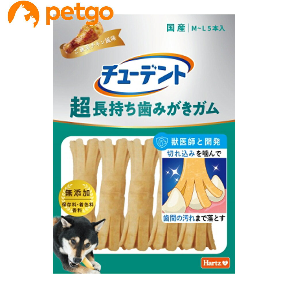 ハーツ チューデント 超長持ち歯みがきガム M-L 5本入 ご褒美チキン風味