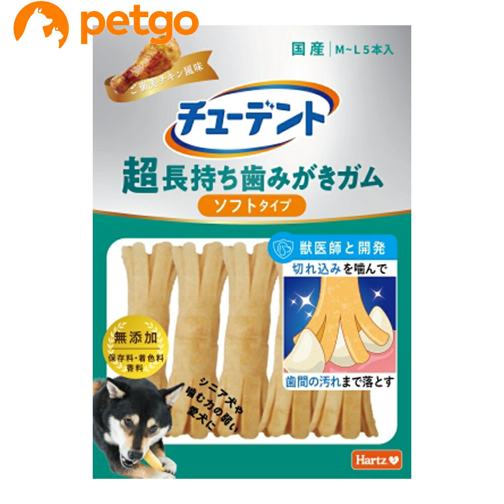 ハーツ チューデント 超長持ち歯みがきガム ソフトタイプ M-L 5本入 ご褒美チキン風味