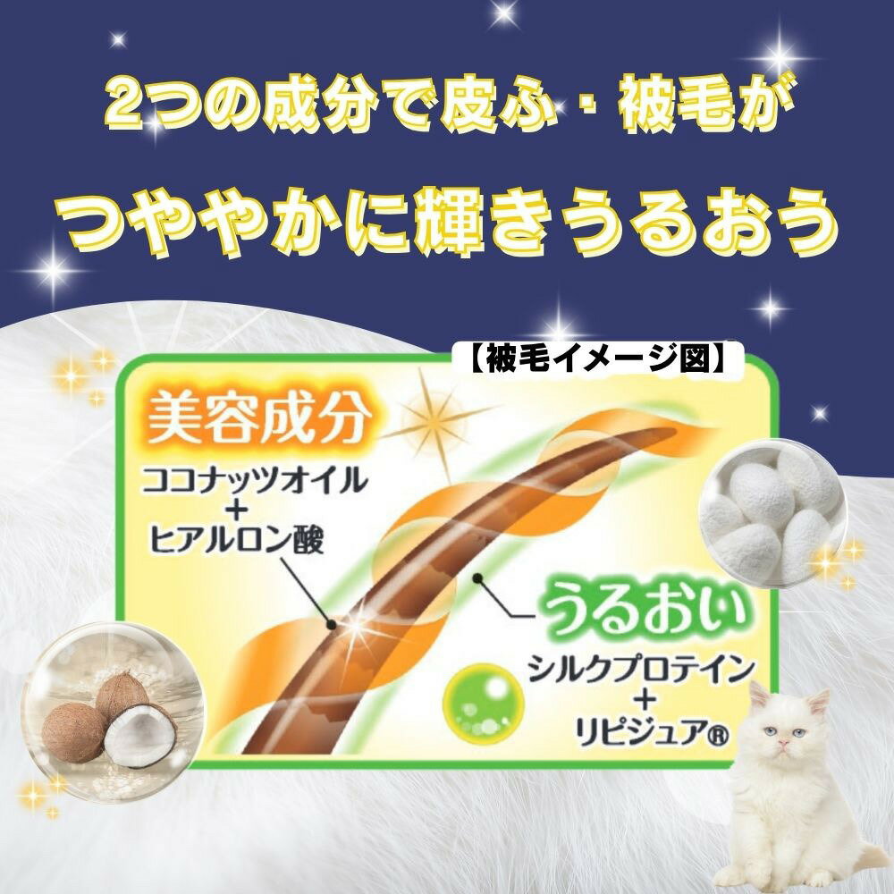 JOYPET(���祤�ڥå�) �ܥǥ��������� ǭ�� 25���5�ġڤޤȤ��㤤��