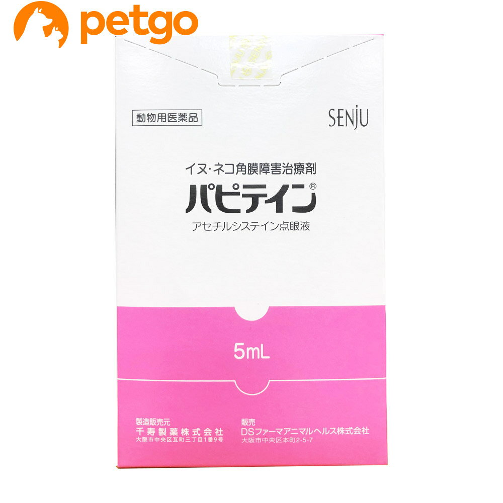 パピテイン 犬猫用 5mL（動物用医薬品）【あす楽】