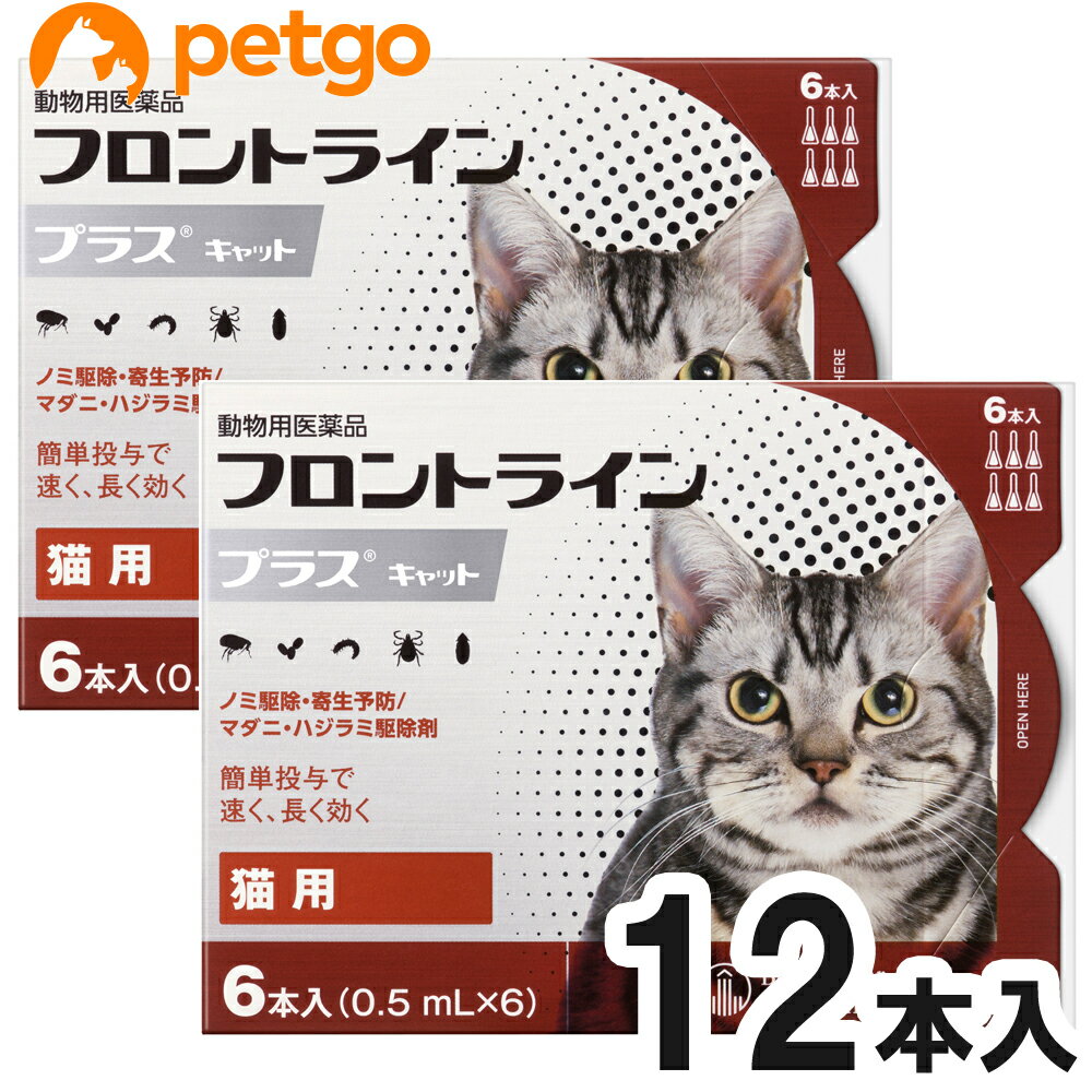 楽天ペットゴー 2号館 楽天市場店【2箱セット】猫用フロントラインプラスキャット 6本（6ピペット）（動物用医薬品）【あす楽】