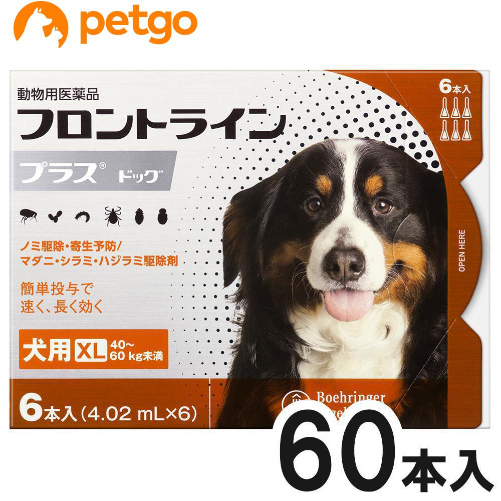 【10箱セット】犬用フロントラインプラスドッグXL 40kg～60kg 6本（6ピペット）（動物用医薬品）【あす..