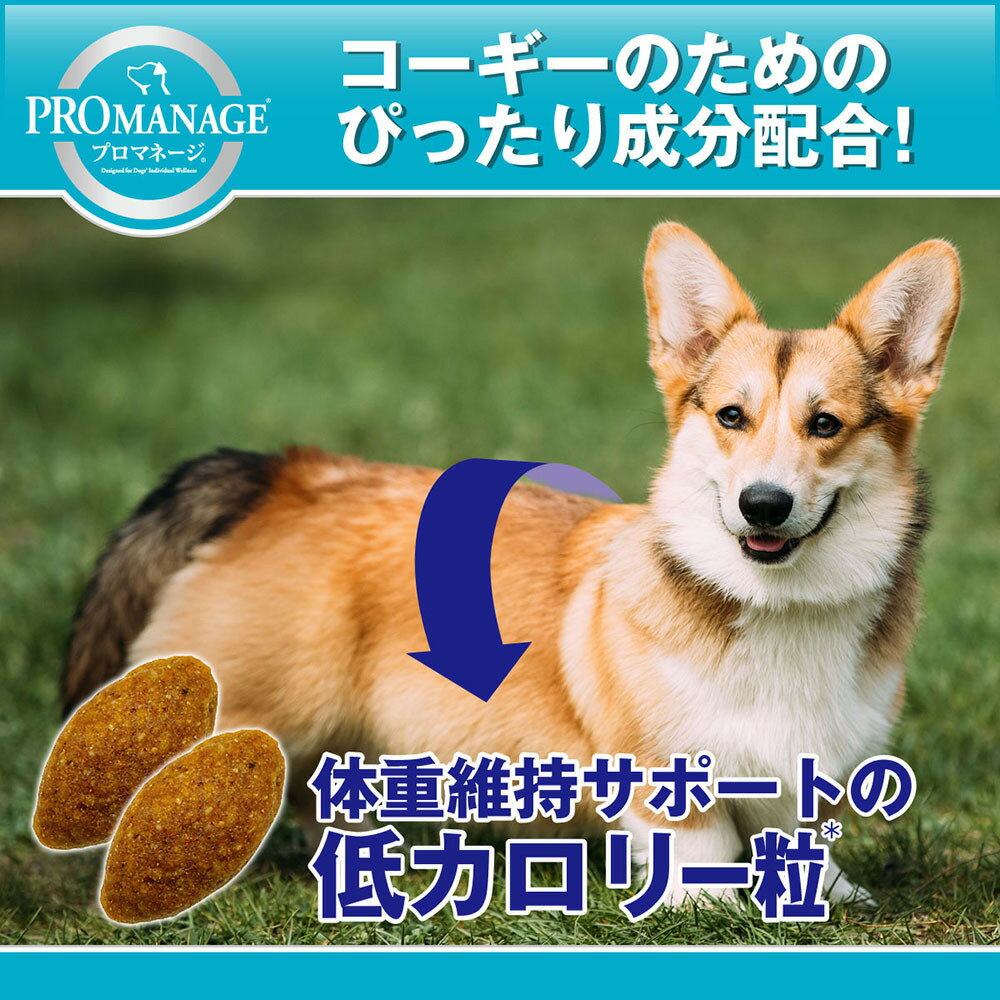 プロマネージ 成犬用 ウェルシュ・コーギー・ペ...の紹介画像2