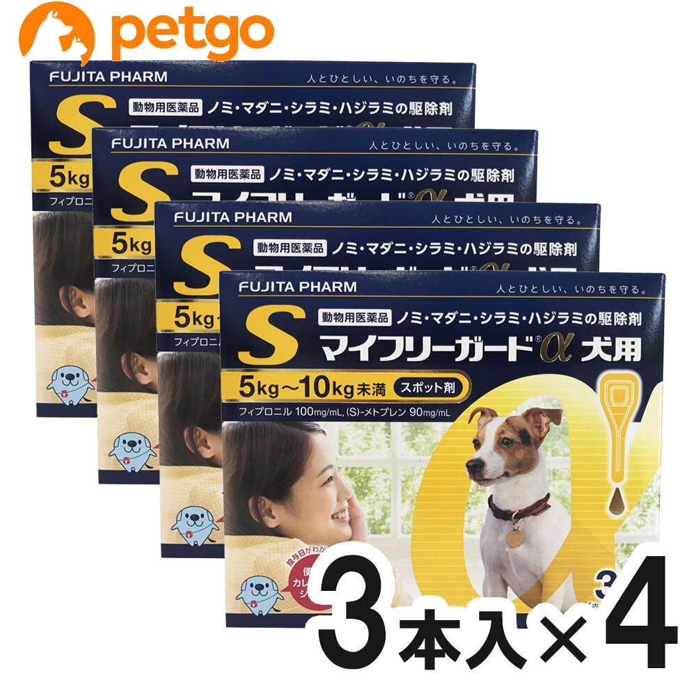 楽天ペットゴー 2号館 楽天市場店【4箱セット】マイフリーガードα 犬用 S 5～10kg 3本（動物用医薬品）【あす楽】