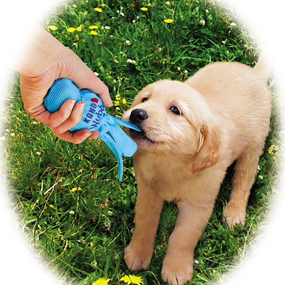 ���󥰥��⡼�륦���� �饤�ȥ֥롼