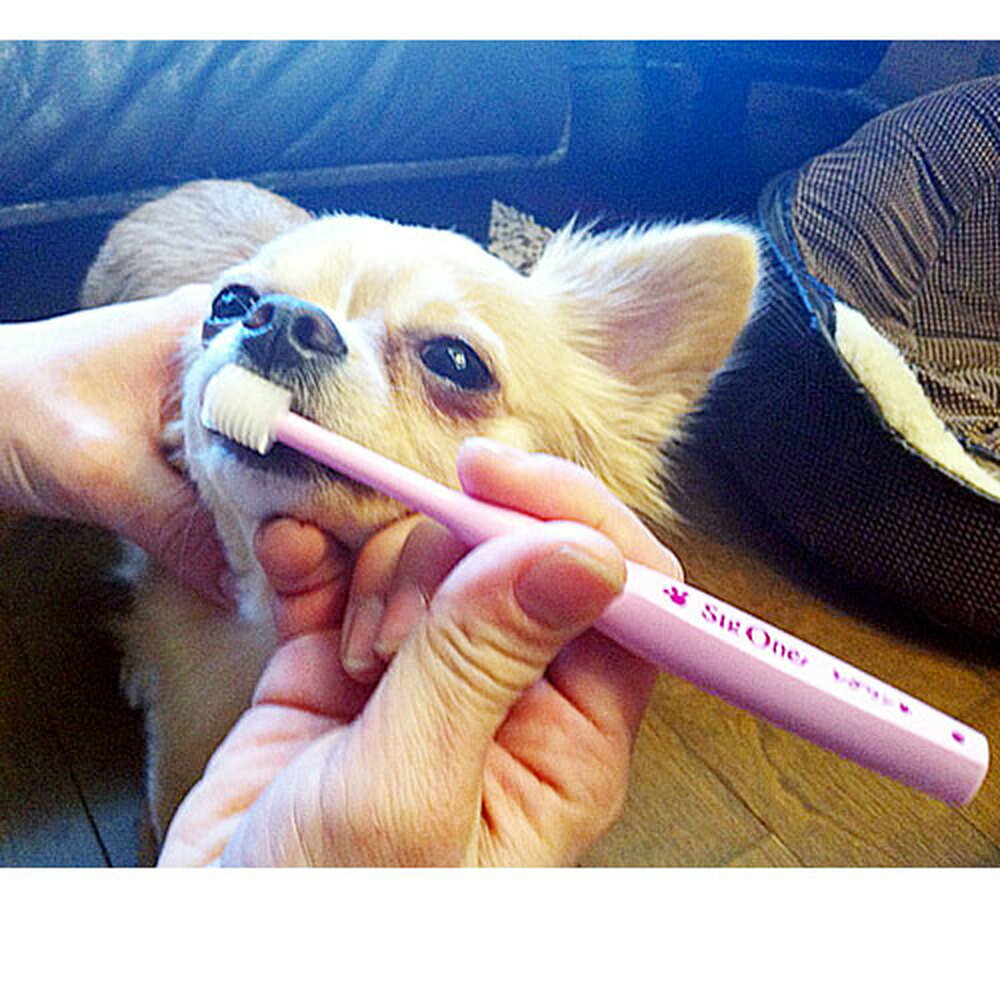 �������Ķ�������ѻ��֥饷