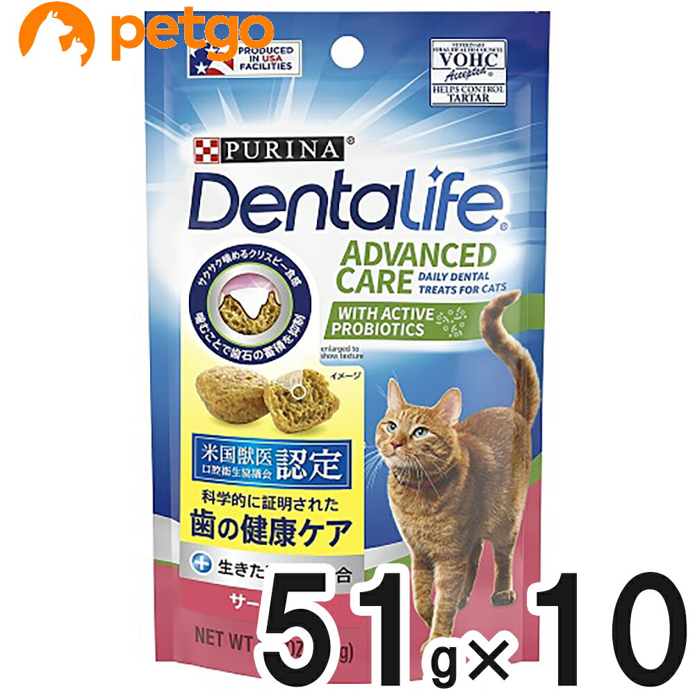 ピュリナ デンタライフ キャット デンタルケアスナック サーモン味 51g×10個【まとめ買い】【あす楽】