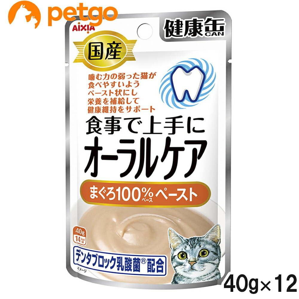 国産 健康缶パウチ オーラルケア まぐろペースト 40g×12袋【まとめ買い】