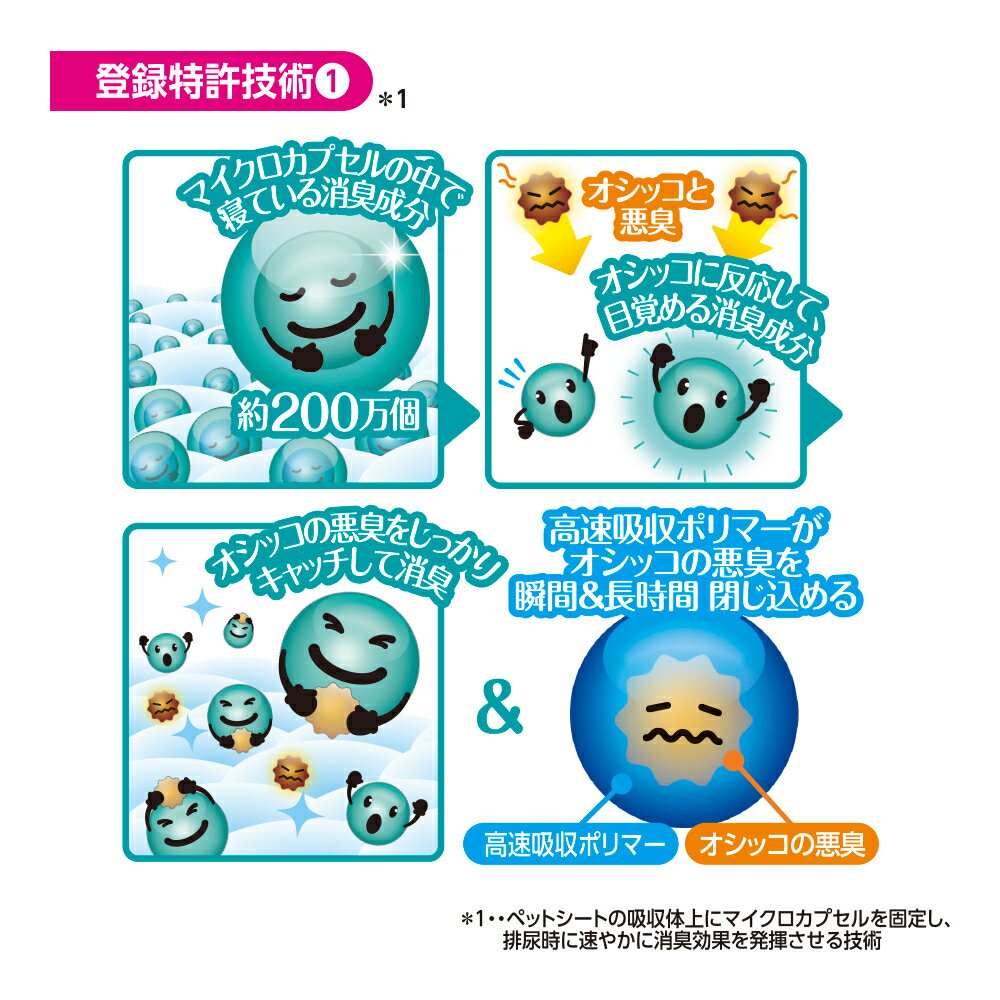 �ǥ������ȥץ�ߥ��� 12����Ķ�ý���Ķ�ۼ� �쥮��顼 84��