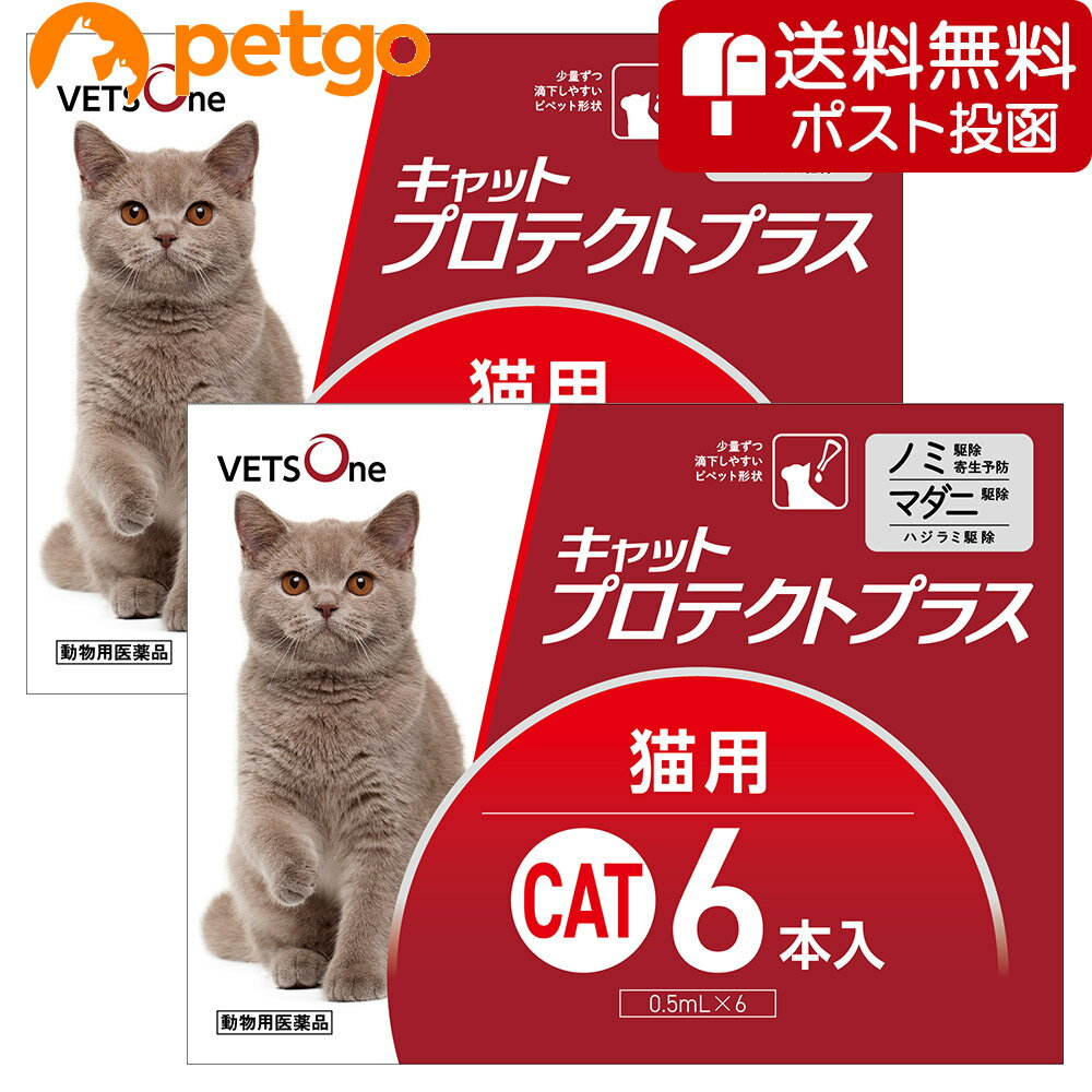 ベッツワン キャットプロテクトプラス 猫用 6本 (動物用医薬品)