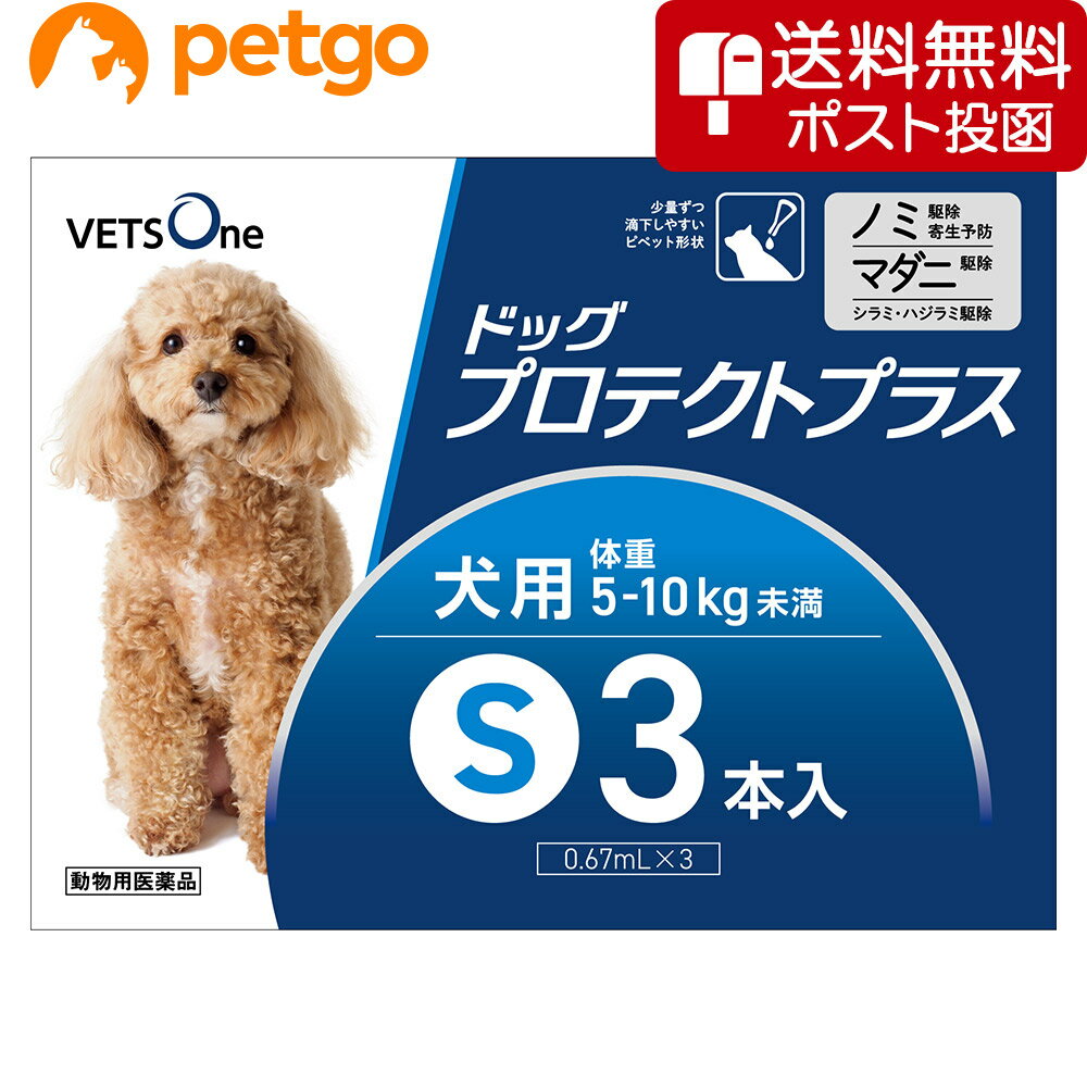 【ネコポス 同梱不可 】ベッツワン ドッグプロテクトプラス 犬用 S 5kg～10kg未満 3本 動物用医薬品 【あす楽】