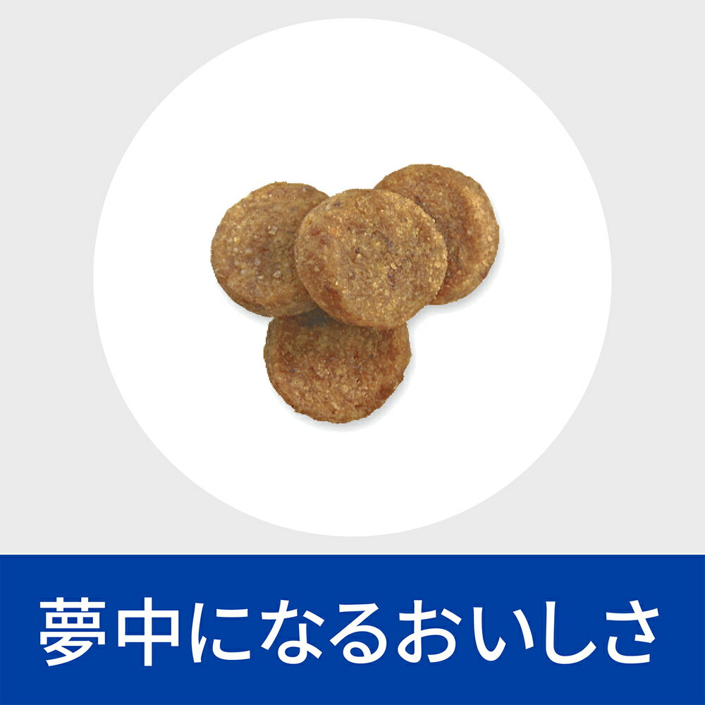 ヒルズ犬用ダームディフェンス環境アレルギー&皮膚ケアドライ1kg【あす楽】