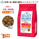 おまけ付きセレクトバランス パピー チキン 小粒 3kg 3キロ 子犬 母犬用 ドッグフード 犬 イヌ 成犬 ペット 健康 無着色 無香料 無添加 総合栄養食