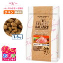 200円OFF クーポン おまけ付き セレクトバランス グレインフリー 猫 ベビー チキン 1.6kg 超小粒 〜4ヶ月 子猫 母猫用 セレクトバランス猫 キャ...