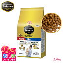 320円OFF クーポン おまけ付き ペットライン プロフェッショナルバランス 超小粒タイプ 1歳から用 2.4kg 2.4キロ 400g x 6袋 小さめ ドッグフード 1才 栄養 栄養食 健康維持 健康 たんぱく質 カルシウム ビタミン 犬 お腹 毛並み 歯 骨 ドッグ フード