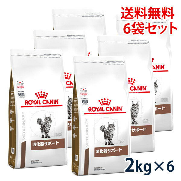 【最大350円OFFクーポン】ロイヤルカナン猫用　消化器サポート　2Kg（6袋セット）【5/12(日)10:00～5/27(月)09:59】